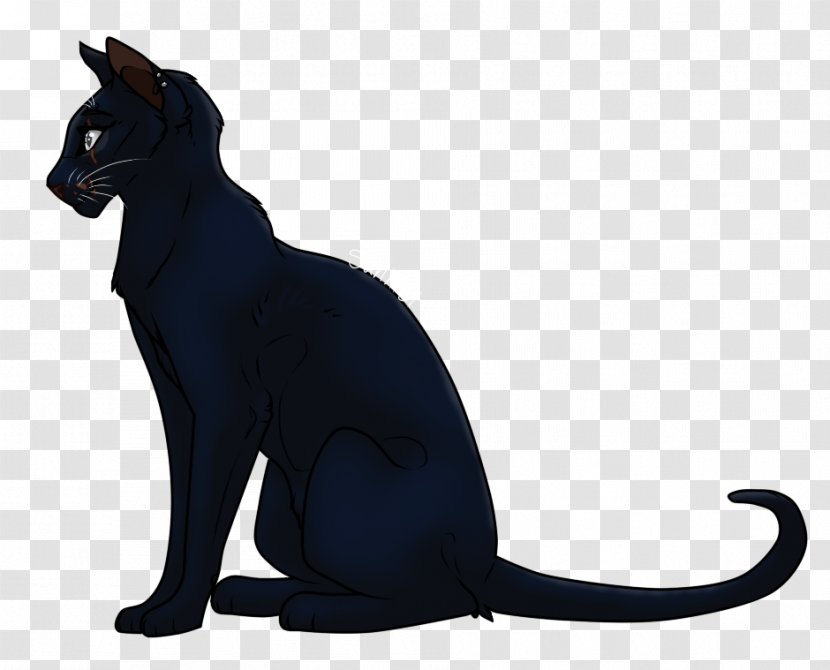 Whiskers Cat Puma Tail Black Panther - Petals Fluttered In Front Transparent PNG