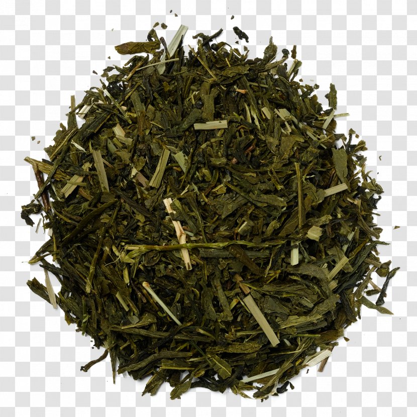 White Tea Green Herbal Blending And Additives - Bai Mudan Transparent PNG