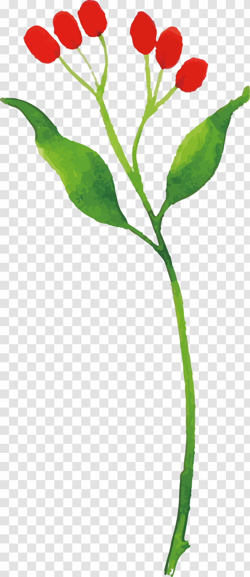 Cut Flowers Plant Stem Leaf Petal Flowerpot Transparent PNG