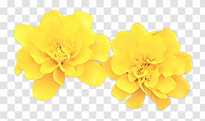 Yellow Flower - Cartoon - Tagetes Plant Transparent PNG
