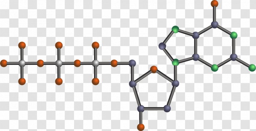 Nucleic Acid Adenine Biomolecule Nucleotide - Symmetry - DNA Transparent PNG