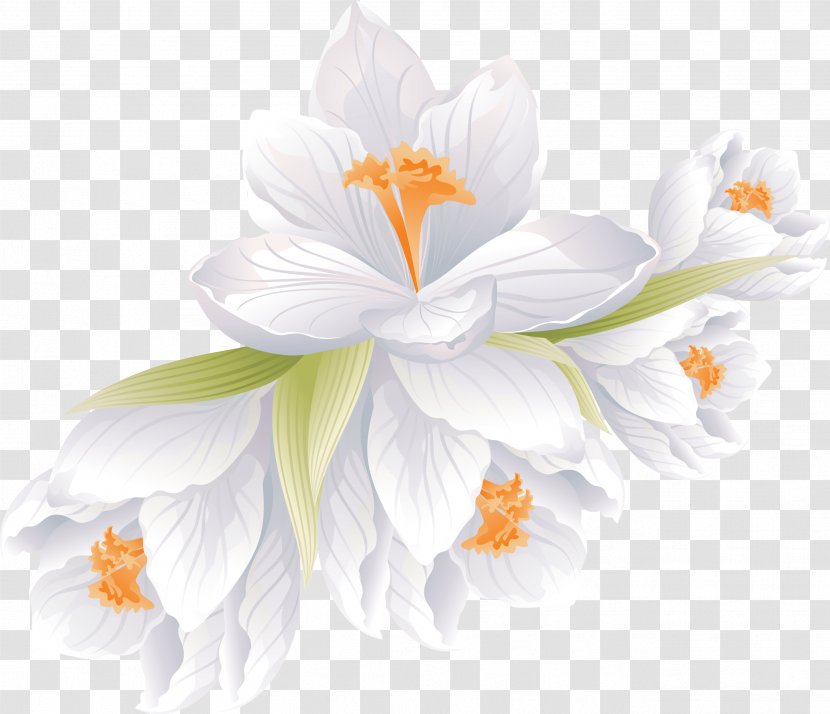 Flower Bouquet Clip Art Floral Design - Crocus Transparent PNG