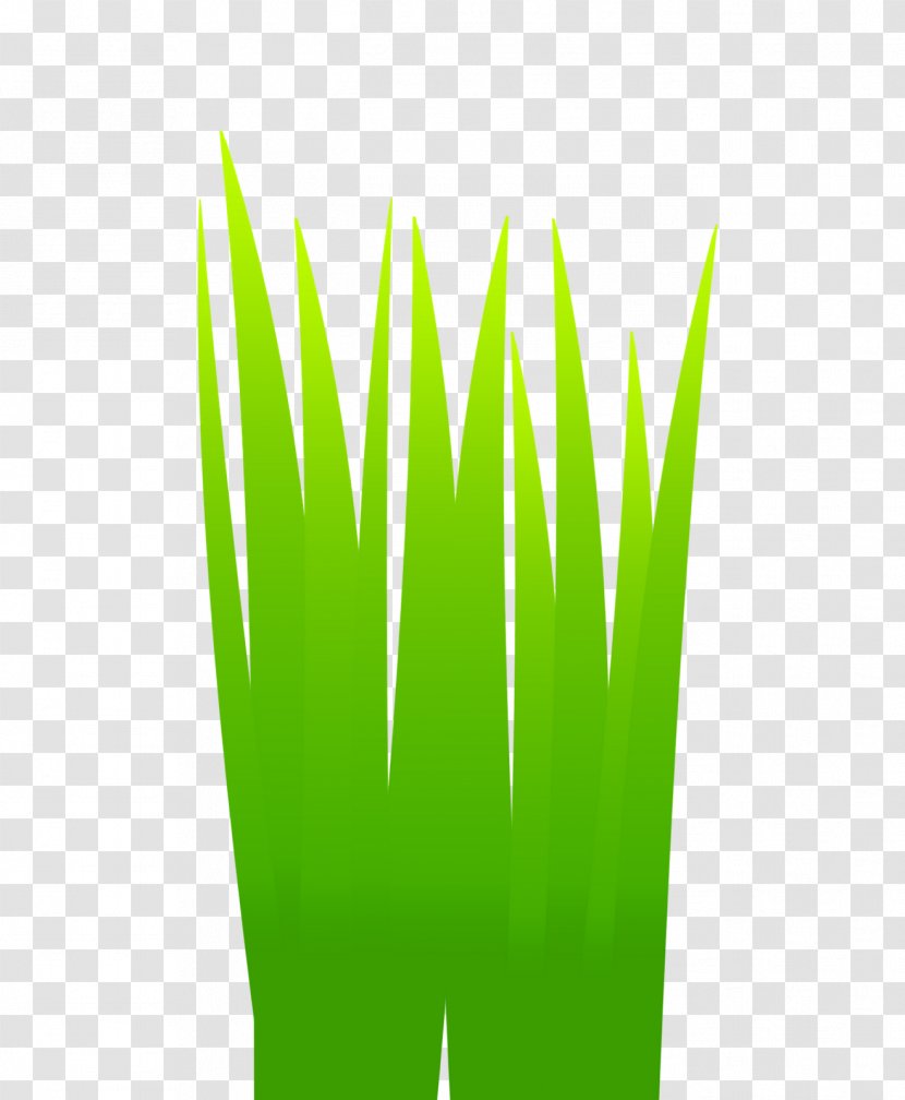 Grasses Leaf Flowerpot Plant Stem - Commodity Transparent PNG
