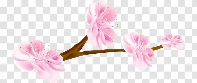 Cherry Blossom Petal Flower - Hand-painted Transparent PNG