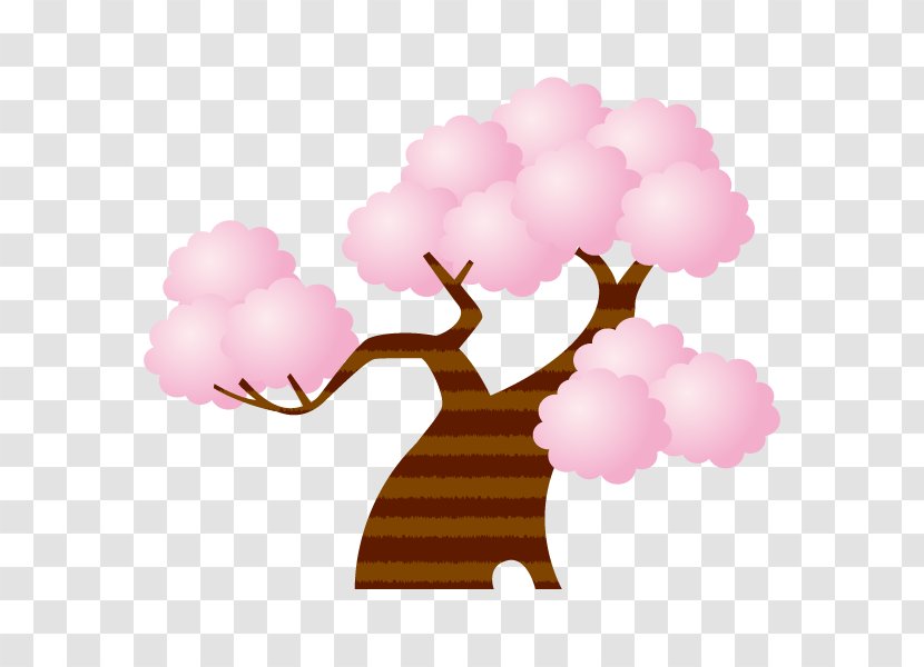 Cherry Blossom Illustration Image Illustrator Graphics - Text Transparent PNG