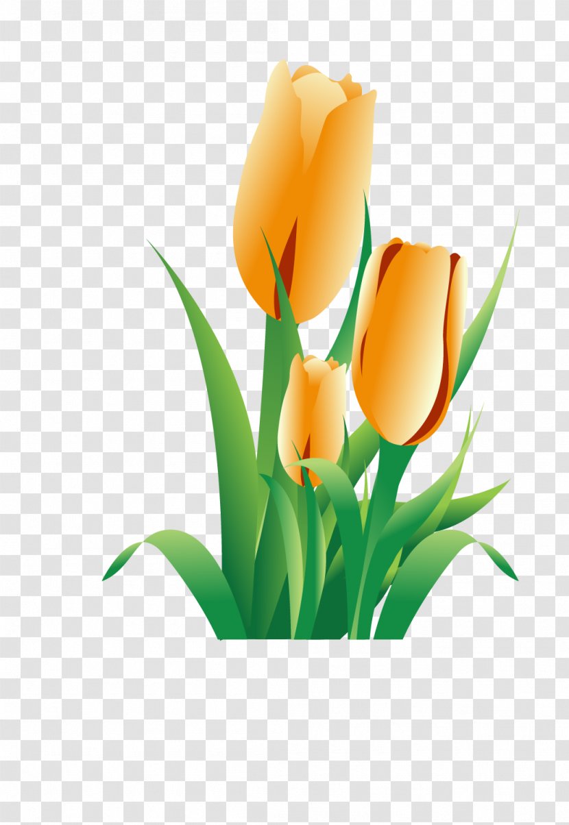 Tulip Flower Icon - Arranging - Golden Transparent PNG