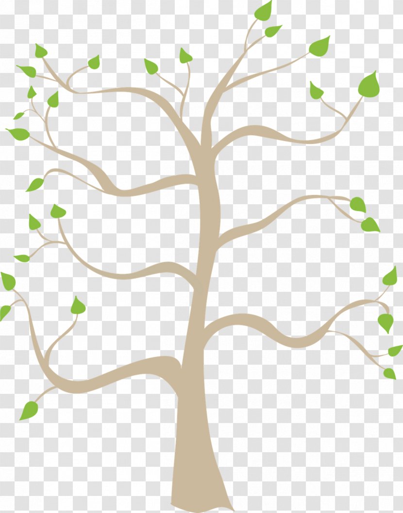Family Tree Free Content Clip Art - Drawing - Cliparts Transparent PNG