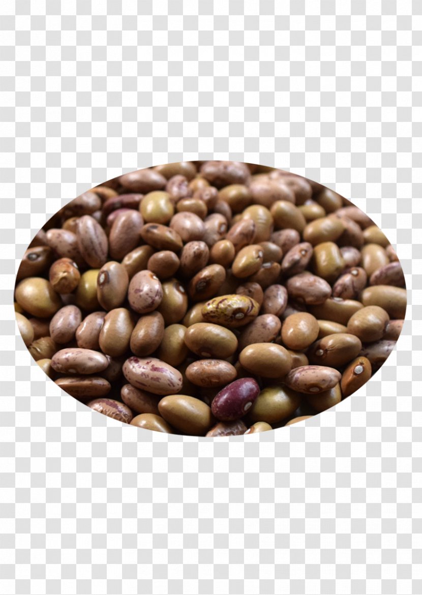 Peanut Cocoa Bean Superfood Seed - Rajma Beans Transparent PNG