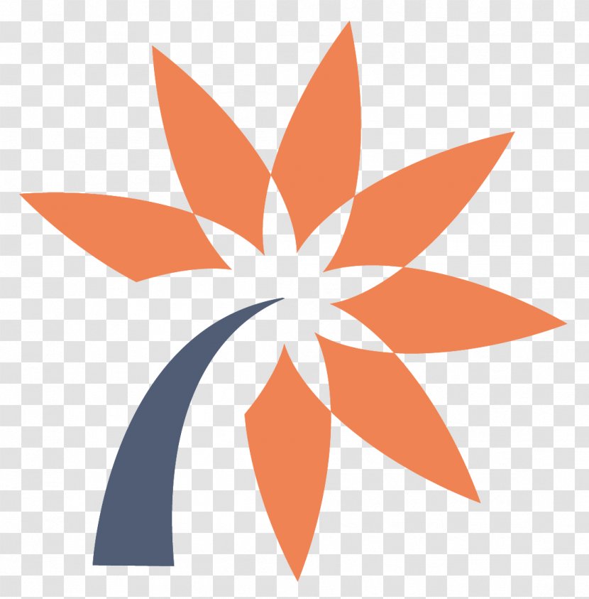 Drawing Royalty-free Photography - Orange - Color Logo Transparent PNG