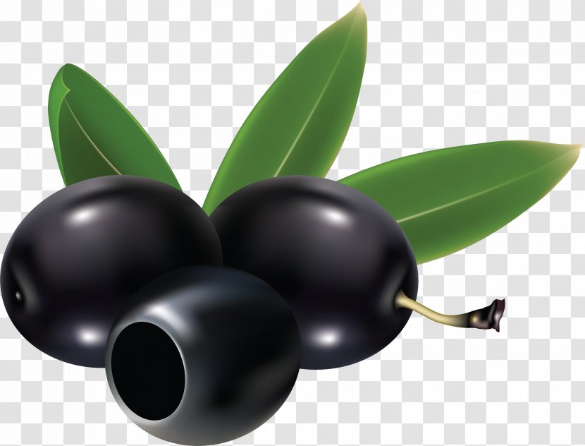 Olive Clip Art - Fruit - Black Olives Transparent PNG