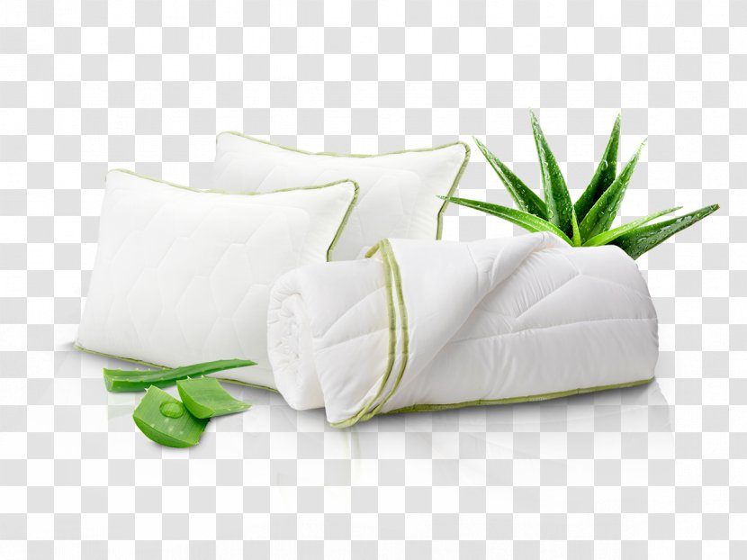 Aloe Vera Plant Pillow Search For Extraterrestrial Intelligence Transparent PNG