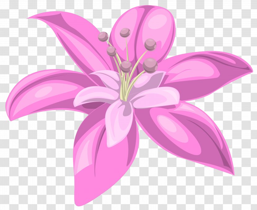 Lilium Pink Flower Clip Art - Flowers - Image Transparent PNG