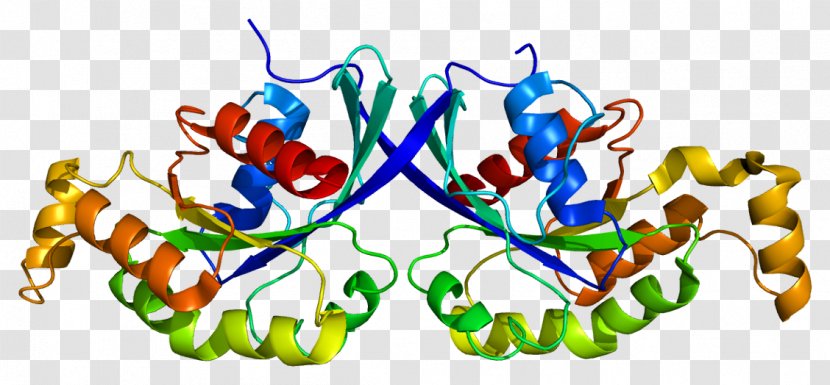RHOQ Gene GOPC Protein Ras Superfamily - Online Mendelian Inheritance In Man Transparent PNG
