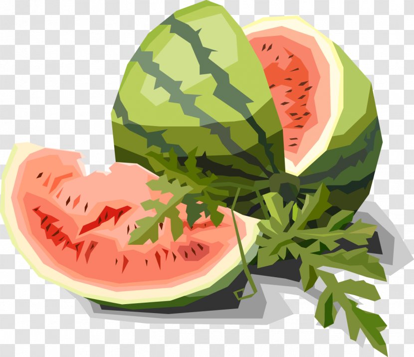 Euclidean Vector Drawing Illustration - Fresh Watermelon Transparent PNG