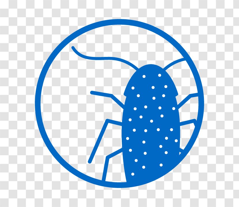Web Design - Worry - Oval Blue Transparent PNG