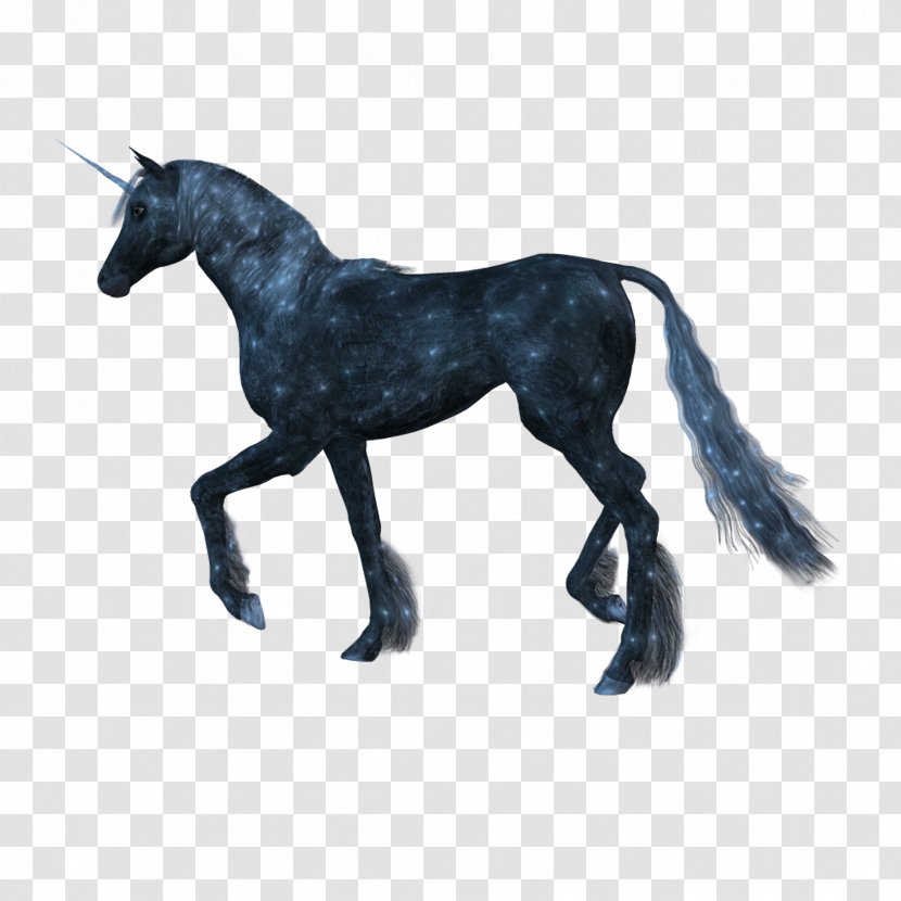 Horse Unicorn - Supplies Transparent PNG