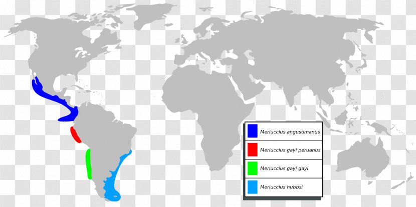 Old World Map Border - Oriental Transparent PNG