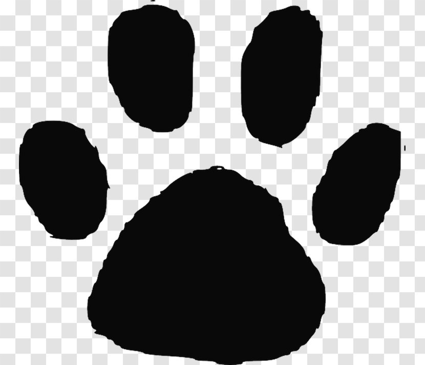 Cat Dog Felidae Paw Animal Track - Small Cats Transparent PNG