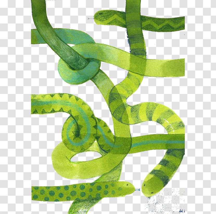 Snake Green Illustration - Organism - Pattern Transparent PNG
