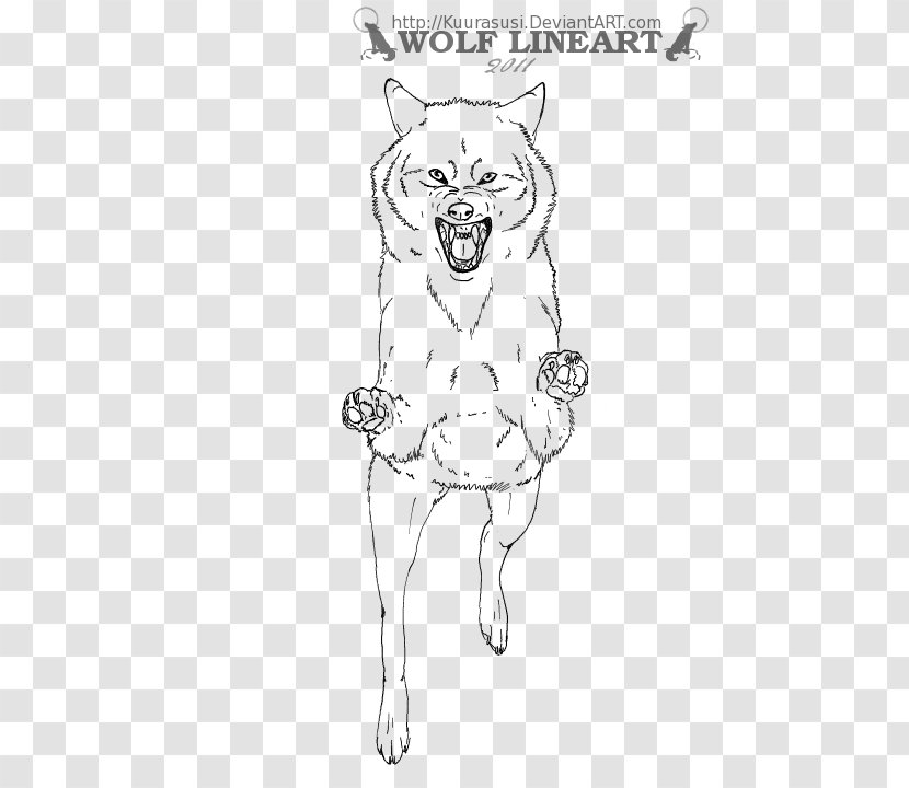 Gray Wolf Drawing Line Art Sketch - Marykate Olsen - Leap Ing Cheetah Transparent PNG