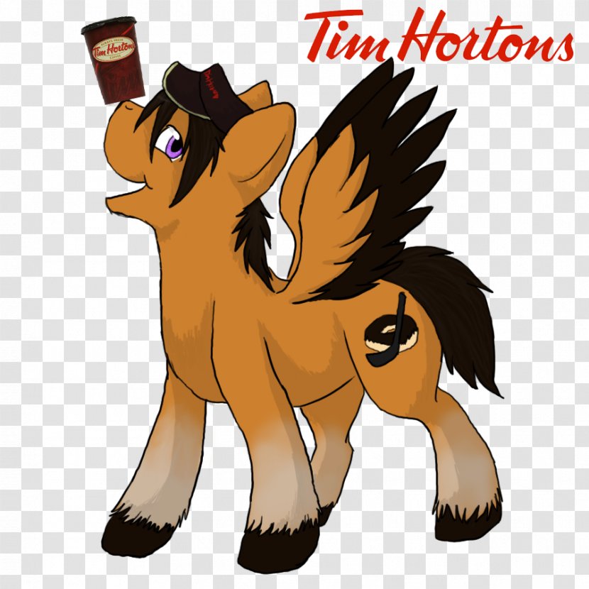 Dog Coffee Tim Hortons Cat Horse Transparent PNG