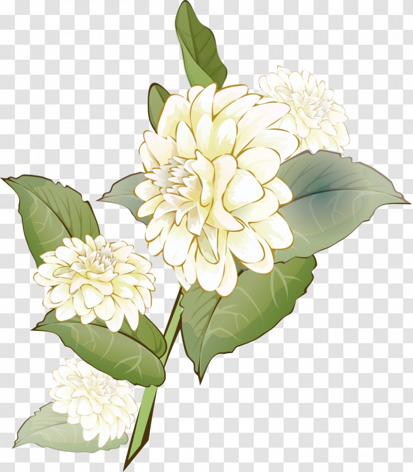 Chrysanthemum Indicum Flowering Tea Chinese Herbology Traditional Medicine - Floral Design Transparent PNG