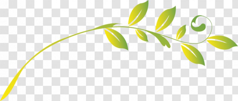 Tree Drawing - Grass - Leaves Transparent PNG