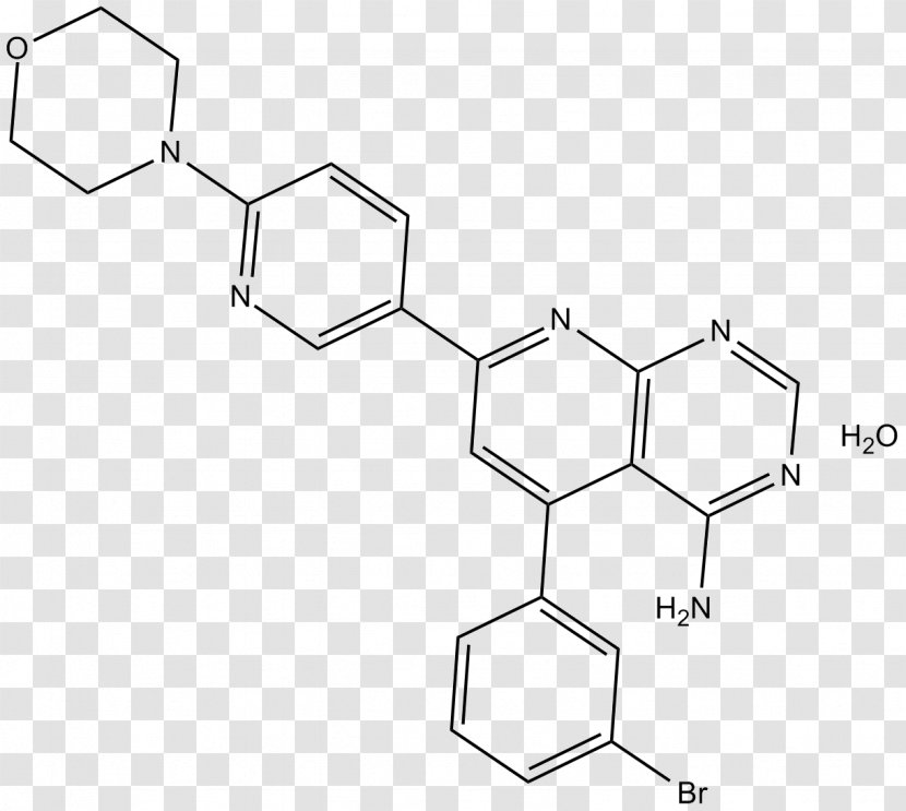 Northeast Ohio Medical University Shenandoah Of Szeged Medicine Science - Material - Diagram Transparent PNG