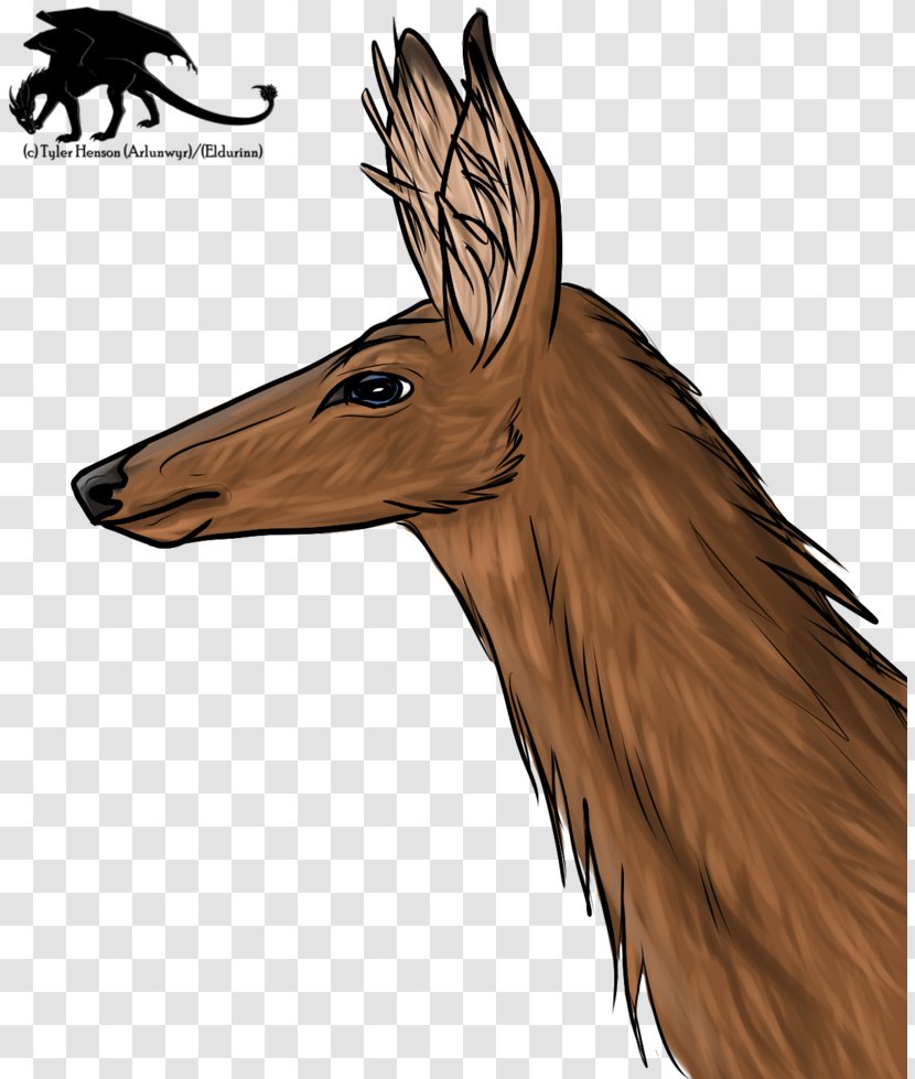 Deer Horse Wood /m/083vt Snout - Wing Transparent PNG