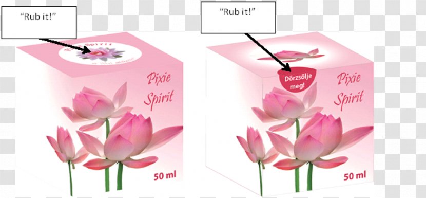 Rose Family Paper Floral Design Cut Flowers Gift - Cosmetics Packaging Transparent PNG