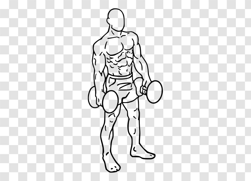 Dumbbell Front Raise Exercise Fly Deltoid Muscle - Heart Transparent PNG