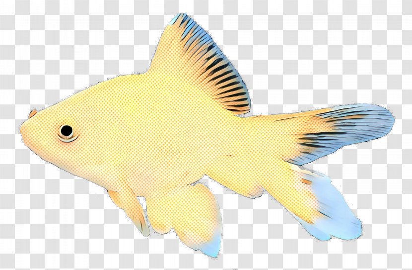 Coral Reef Background - Tail - Fish Bonyfish Transparent PNG