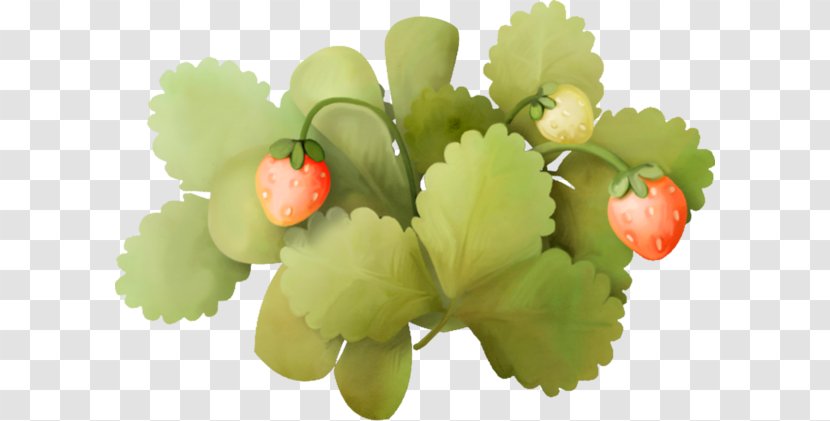 Strawberry Fruit Frame - Strawberries And Green Leaves Transparent PNG