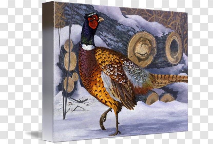 Pheasant Painting Fauna Feather Beak - Wildlife Transparent PNG