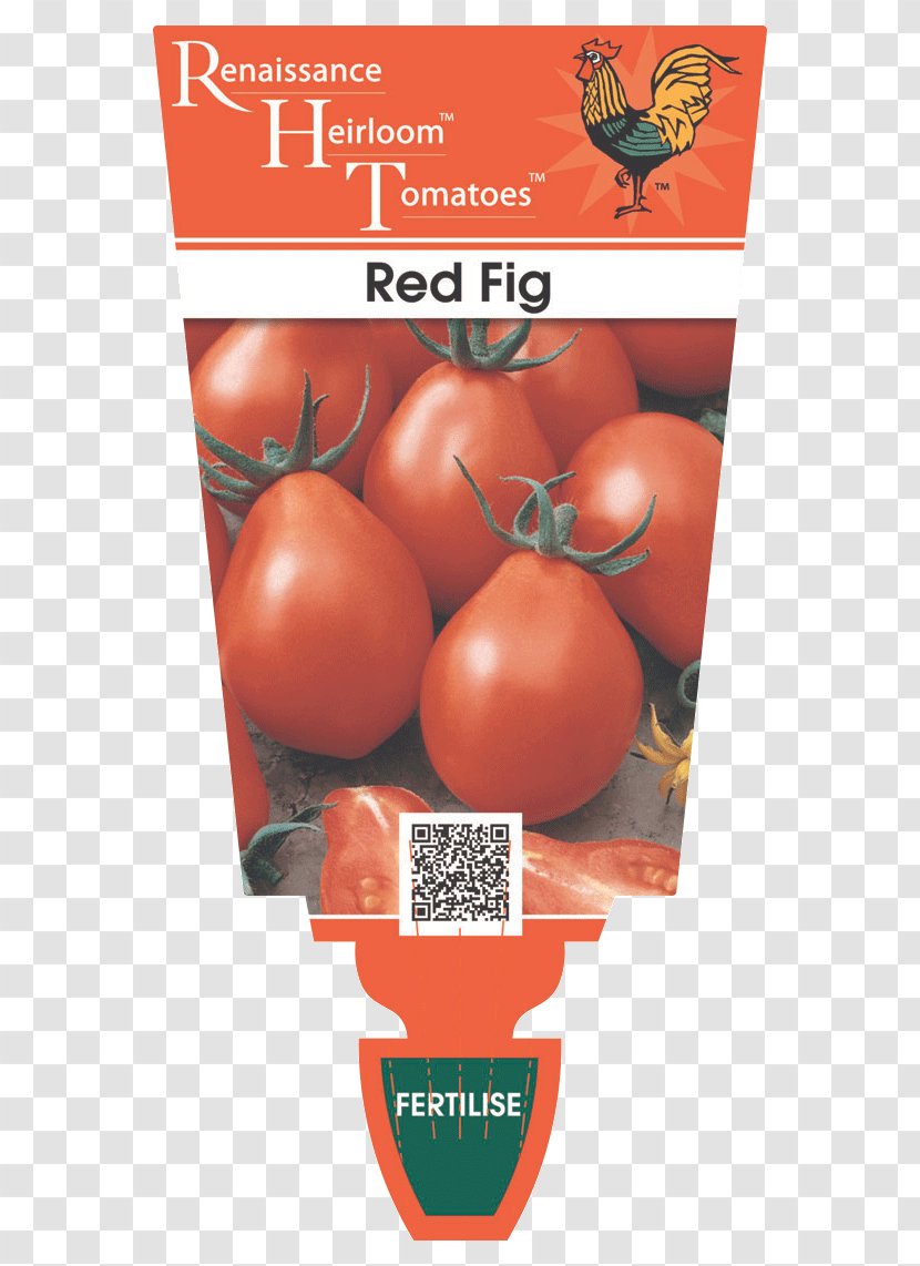 Plum Tomato Heirloom Roma Food Bush - Seeds Catalog Transparent PNG