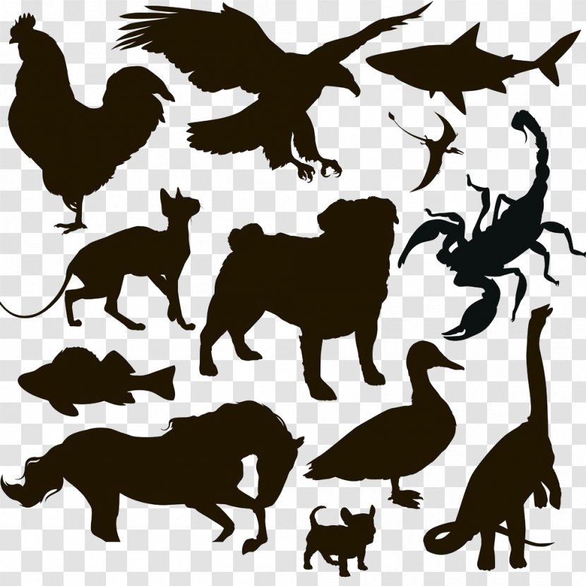 Horse Bactrian Camel Silhouette Animal - Wildlife - Silhouettes Transparent PNG