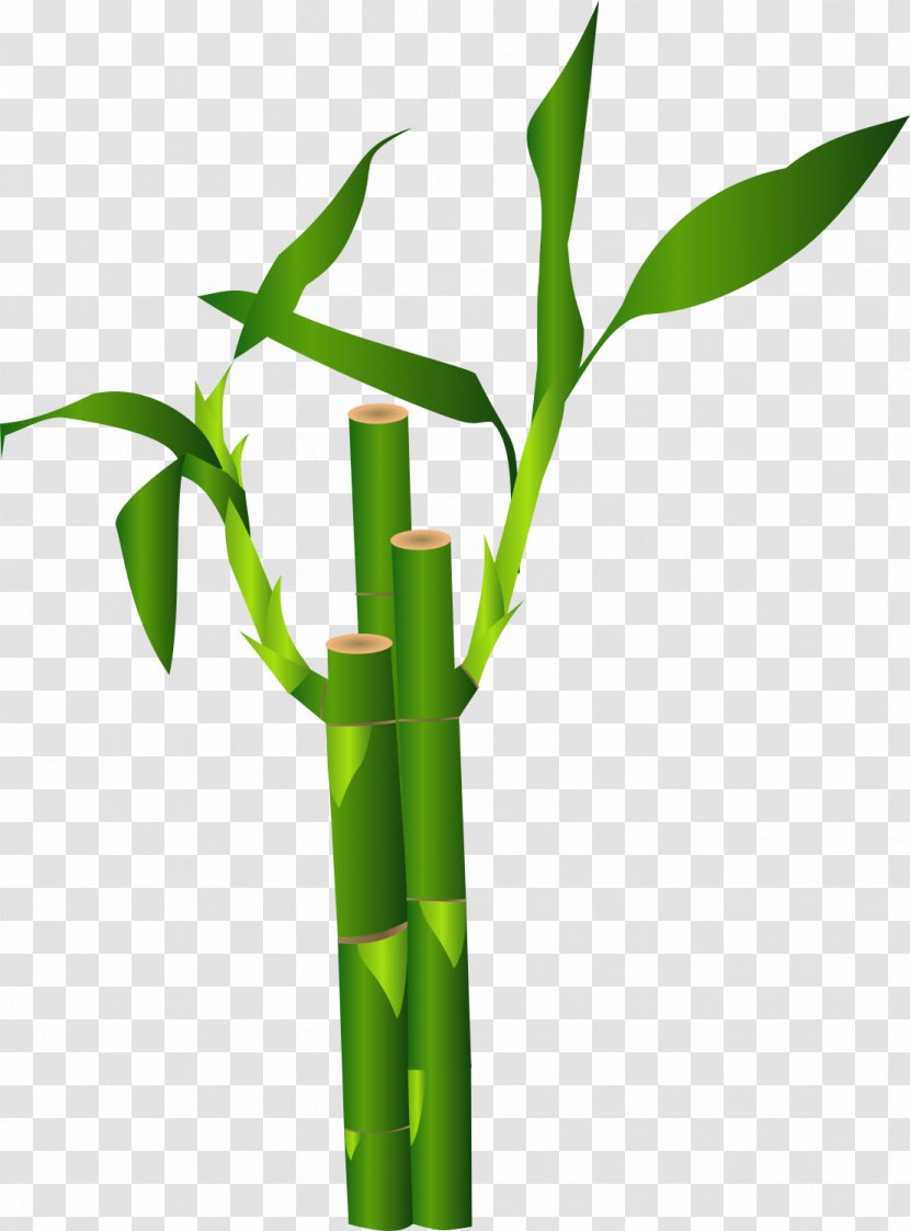 Bamboo Clip Art Vector Graphics Image - Plant Stem Transparent PNG