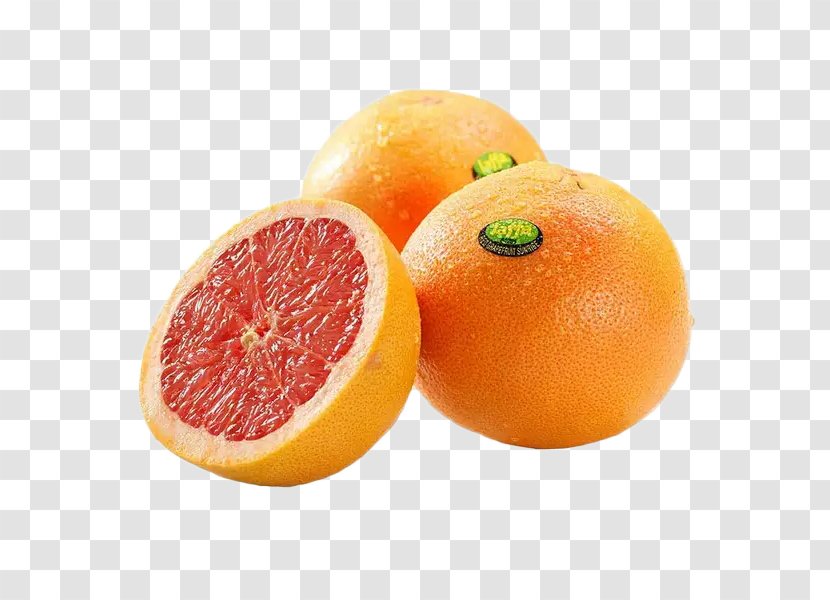 Blood Orange Fruit Pomelo - Vecteur - Fresh Red Grapefruit Pull Material Free Transparent PNG