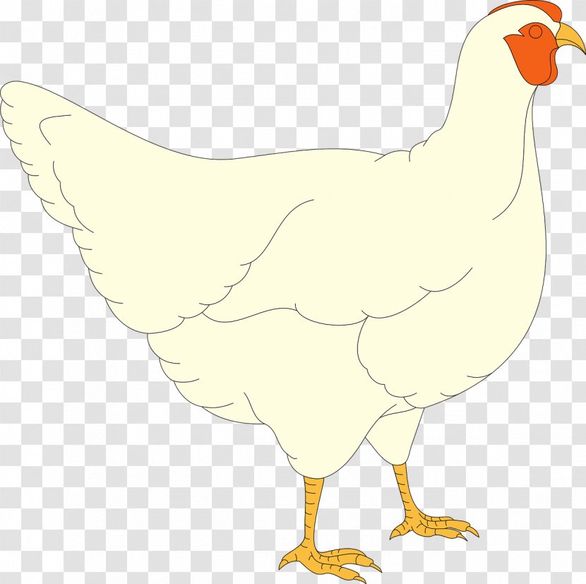 Solid White Clip Art - Duck - Farm Animals Transparent PNG