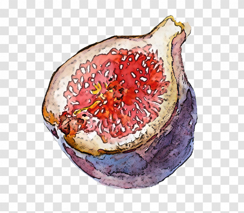 Pomegranate Fruit Food Accessory Fruit Common Fig Transparent PNG