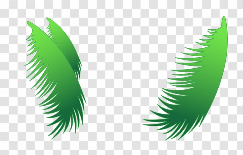 Leaf Coconut - Cartoon Hand Painted Leaves Transparent PNG