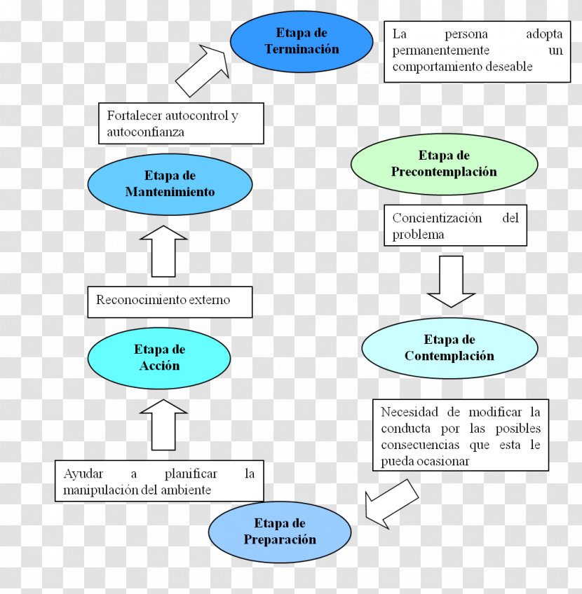 Product Design Line Angle - Organization Transparent PNG