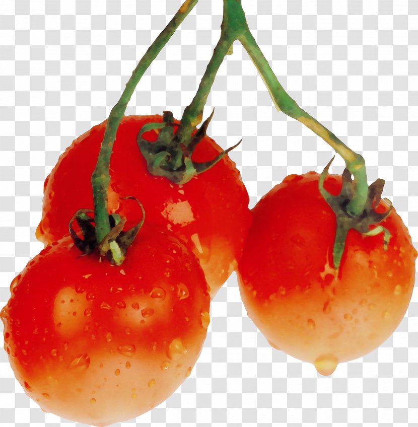 Tomato - Cherry Tomatoes - Vegetable Plum Transparent PNG