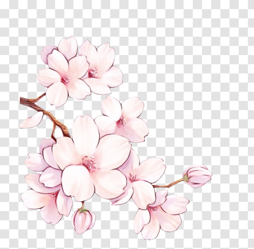 Watercolor Pink Flowers - Cherry Blossom - Hydrangea Geranium Transparent PNG