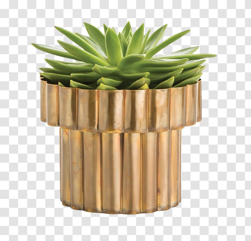 Flowerpot Cachepot Vase Terrarium Plant - Green Wall Transparent PNG