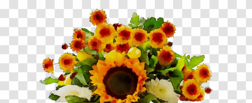 Floral Design Cut Flowers Flower Bouquet Transvaal Daisy - Artificial Transparent PNG
