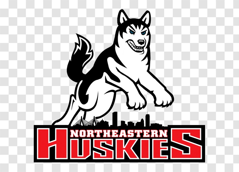 Northeastern University Rugby Club Dartmouth College Of Connecticut Huskies Men's Basketball - Husky Transparent PNG