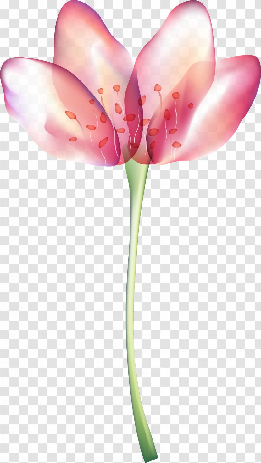 Flower - Cut Flowers - Lily Transparent PNG