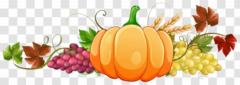 Squash Soup Autumn Pumpkin Clip Art - Fruit Transparent PNG