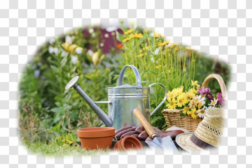 Gardening Horticulture Lawn Gardener - Nursery Transparent PNG
